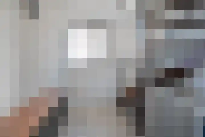 de Spinde 76 Raalte thumbnail 25