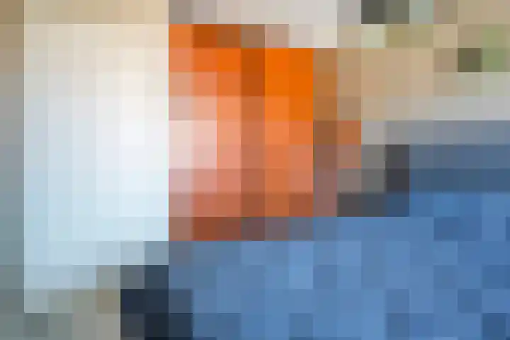 de Spinde 76 Raalte thumbnail 29