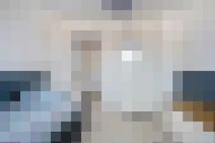 de Spinde 76 Raalte thumbnail 33