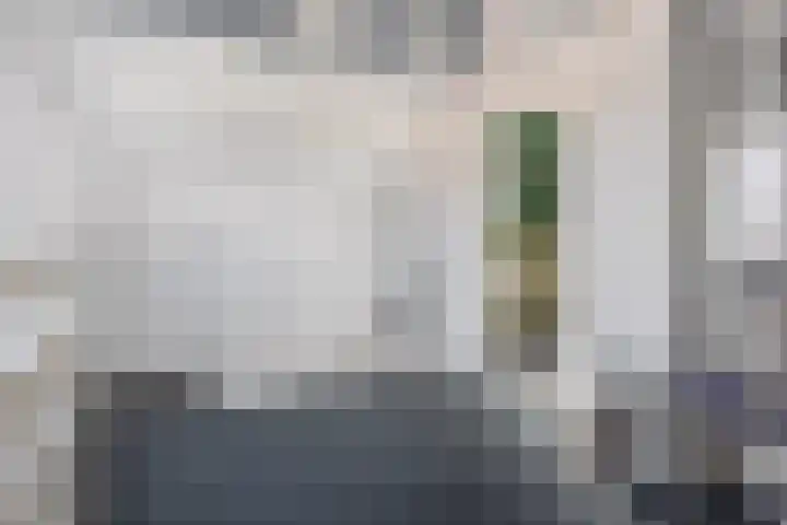 de Spinde 76 Raalte thumbnail 35