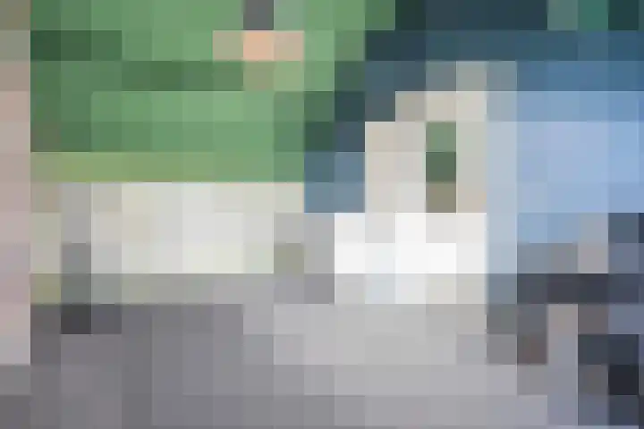 de Spinde 76 Raalte thumbnail 36