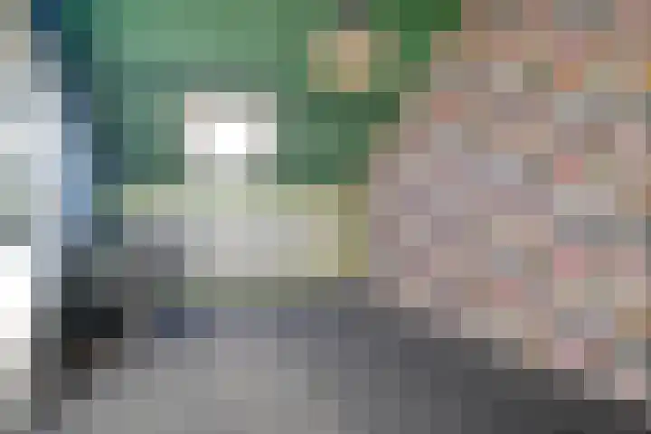 de Spinde 76 Raalte thumbnail 37