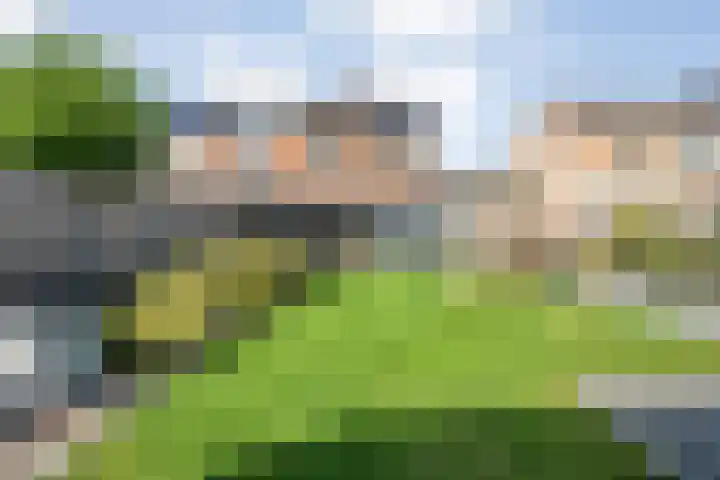 de Spinde 76 Raalte thumbnail 38