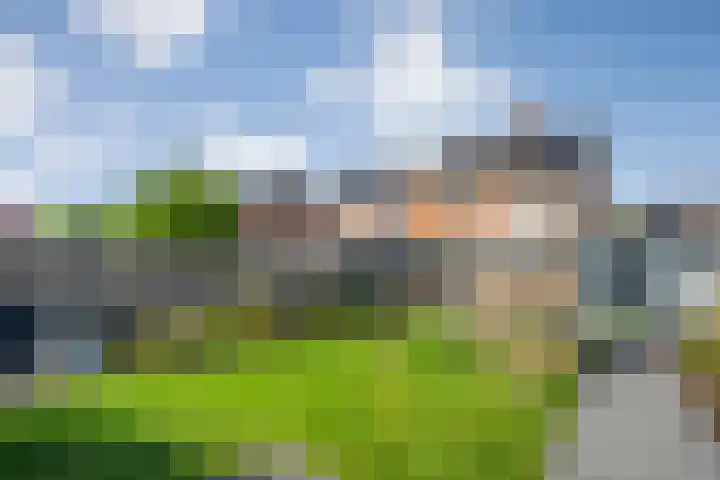 de Spinde 76 Raalte thumbnail 39