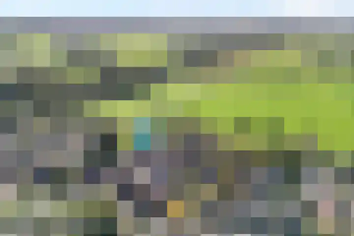 de Spinde 76 Raalte thumbnail 4