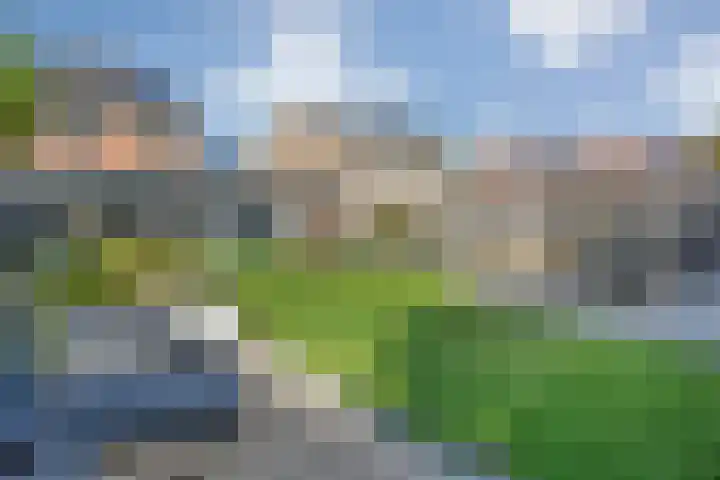 de Spinde 76 Raalte thumbnail 40