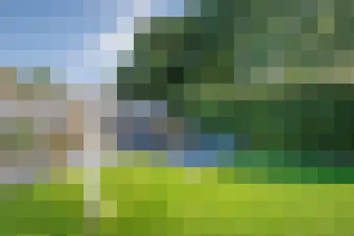 de Spinde 76 Raalte thumbnail 41