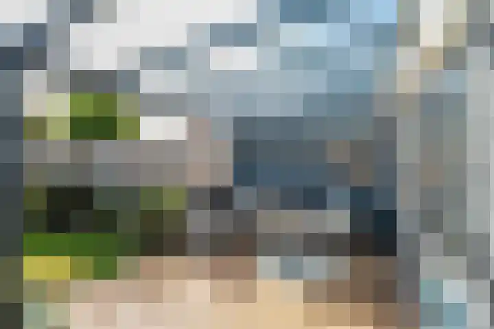 de Spinde 76 Raalte thumbnail 43