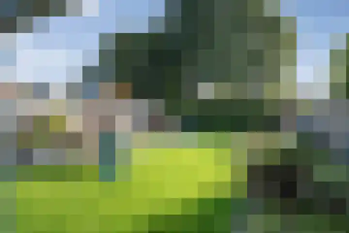 de Spinde 76 Raalte thumbnail 44
