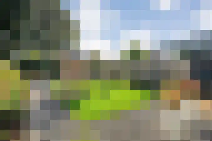 de Spinde 76 Raalte thumbnail 45