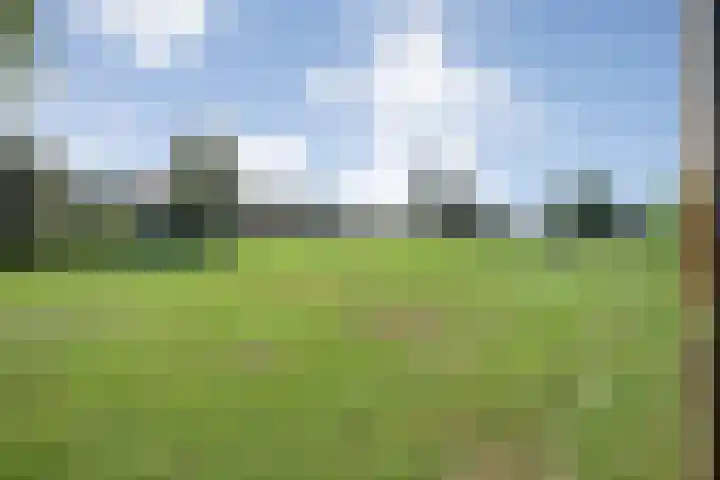 de Spinde 76 Raalte thumbnail 46