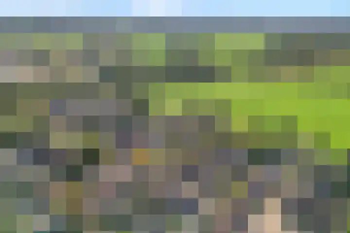 de Spinde 76 Raalte thumbnail 47