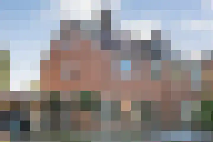 de Spinde 76 Raalte thumbnail 48