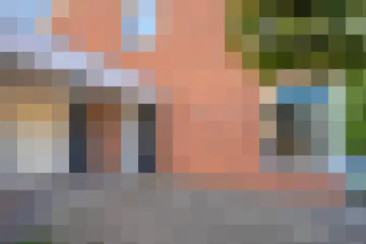 de Spinde 76 Raalte thumbnail 49