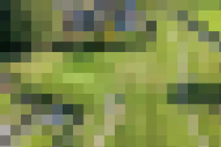 de Spinde 76 Raalte thumbnail 5