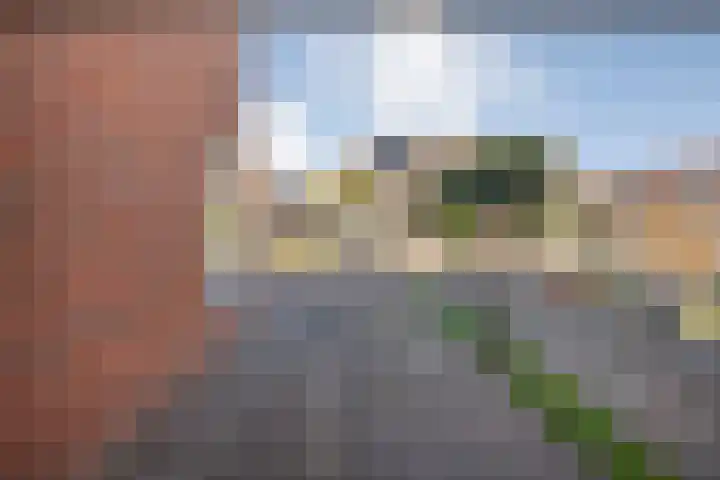 de Spinde 76 Raalte thumbnail 50
