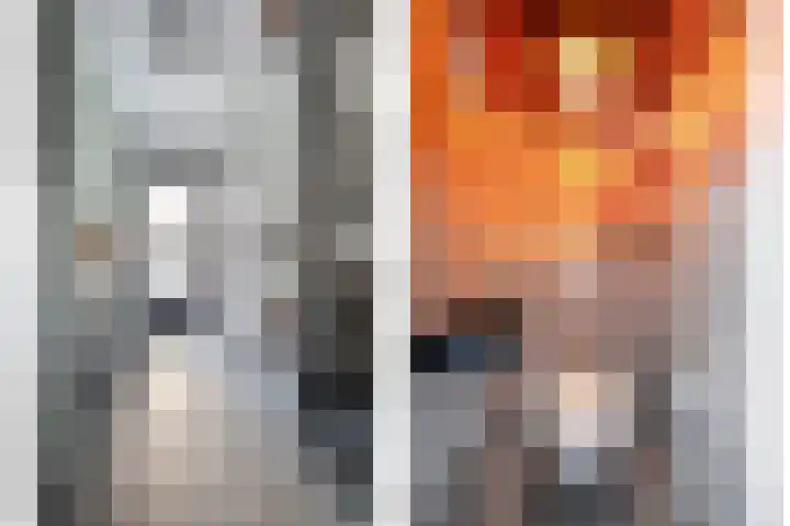 de Spinde 76 Raalte thumbnail 6