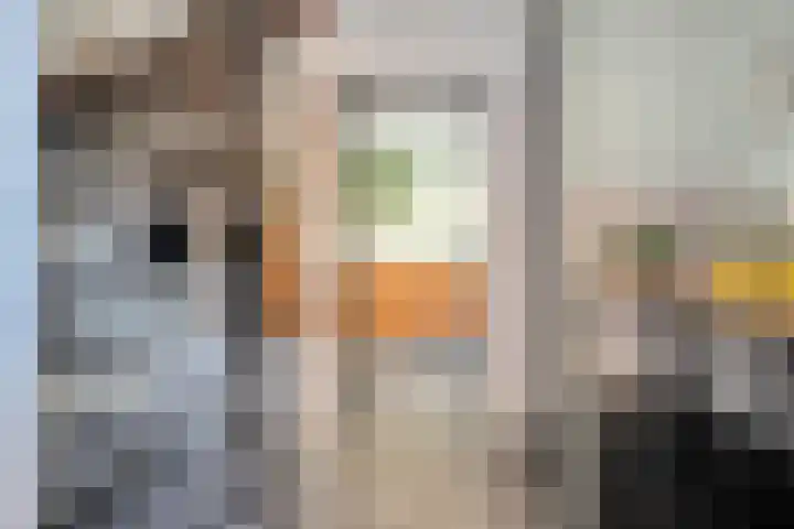 de Spinde 76 Raalte thumbnail 7