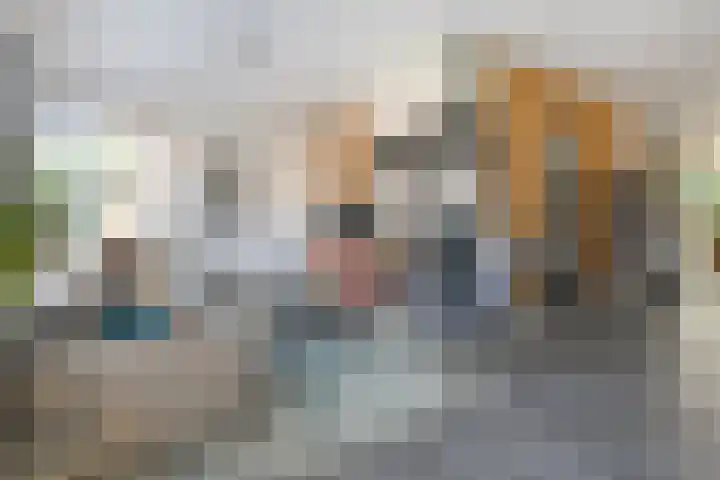 de Spinde 76 Raalte thumbnail 8