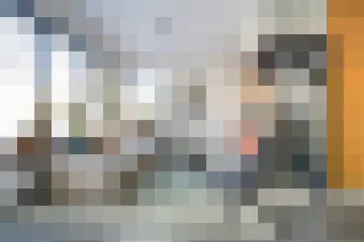 de Spinde 76 Raalte thumbnail 9