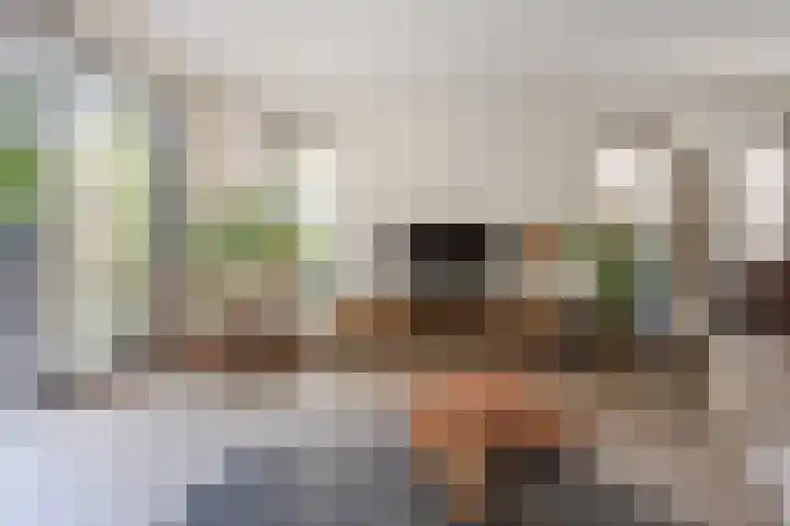 De Spindel 20 Steenbergen thumbnail 10