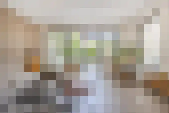 De Spindel 20 Steenbergen thumbnail 11
