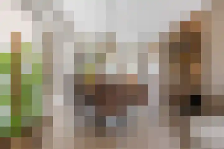De Spindel 20 Steenbergen thumbnail 12