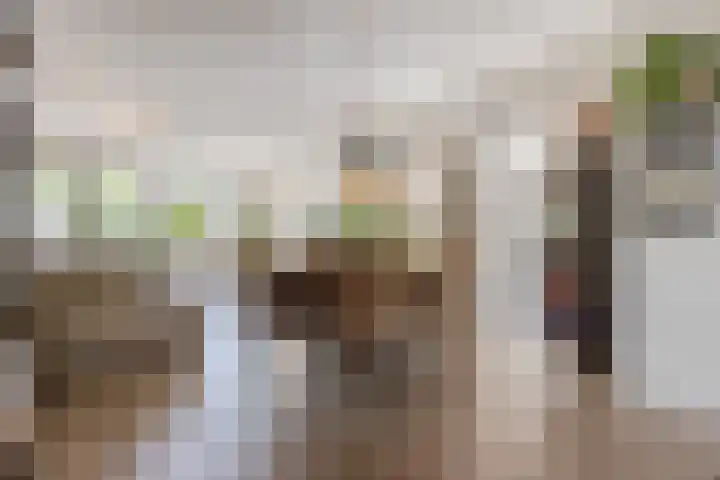 De Spindel 20 Steenbergen thumbnail 13
