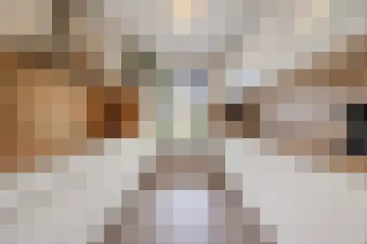 De Spindel 20 Steenbergen thumbnail 14