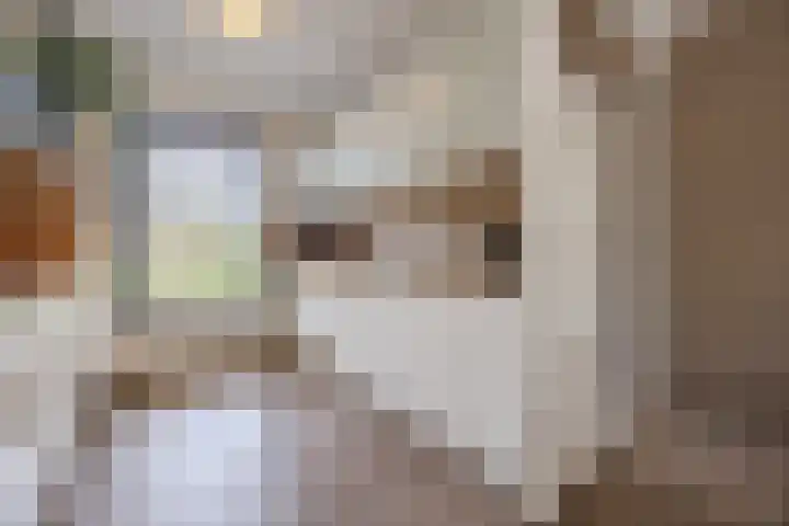 De Spindel 20 Steenbergen thumbnail 15
