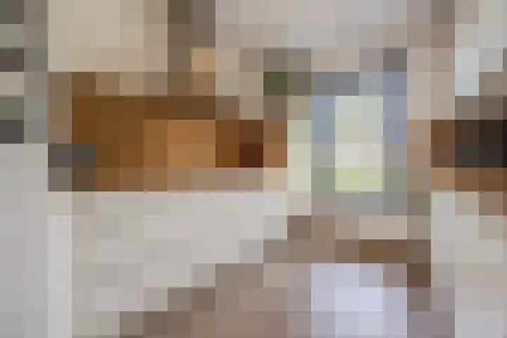 De Spindel 20 Steenbergen thumbnail 16