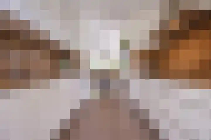 De Spindel 20 Steenbergen thumbnail 17