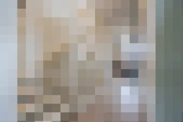 De Spindel 20 Steenbergen thumbnail 18