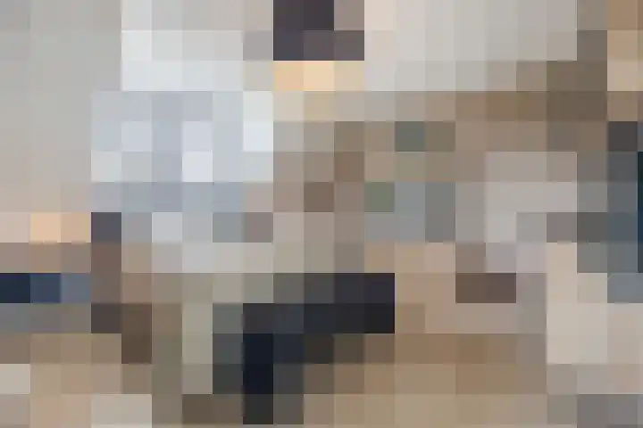 De Spindel 20 Steenbergen thumbnail 19