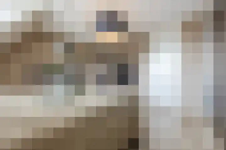 De Spindel 20 Steenbergen thumbnail 21
