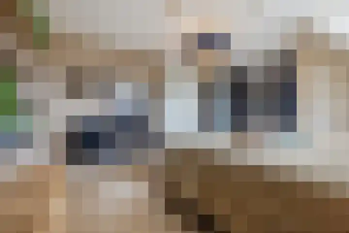 De Spindel 20 Steenbergen thumbnail 22