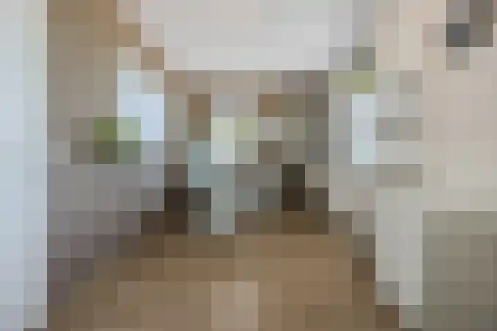 De Spindel 20 Steenbergen thumbnail 24
