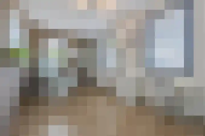 De Spindel 20 Steenbergen thumbnail 25