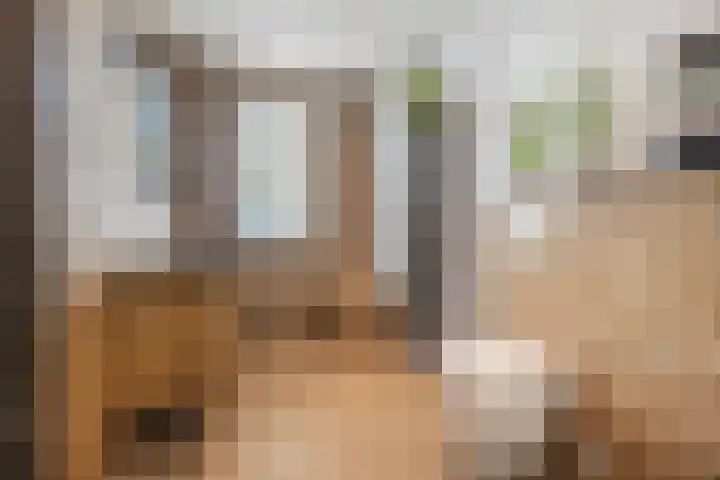 De Spindel 20 Steenbergen thumbnail 28
