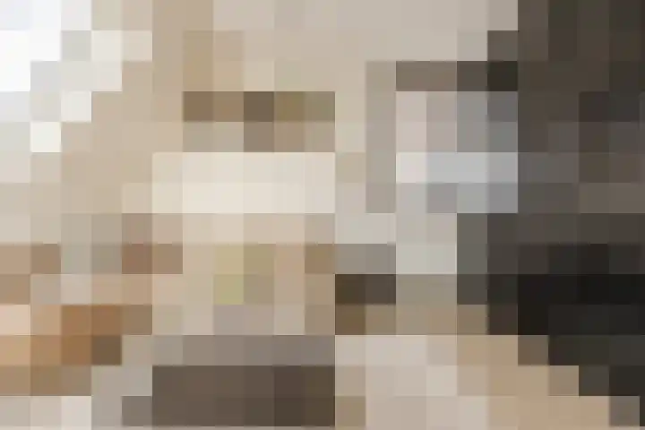 De Spindel 20 Steenbergen thumbnail 33