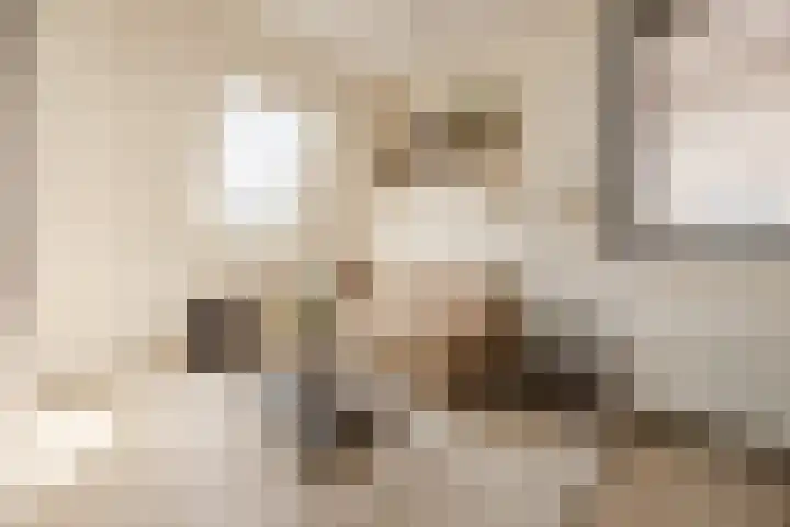 De Spindel 20 Steenbergen thumbnail 34