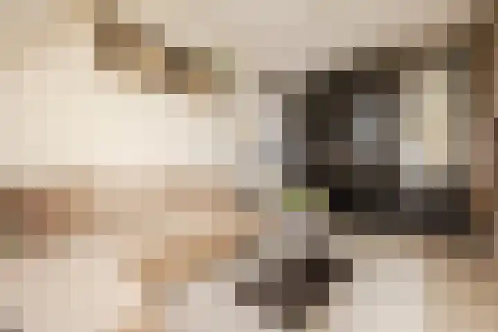 De Spindel 20 Steenbergen thumbnail 35