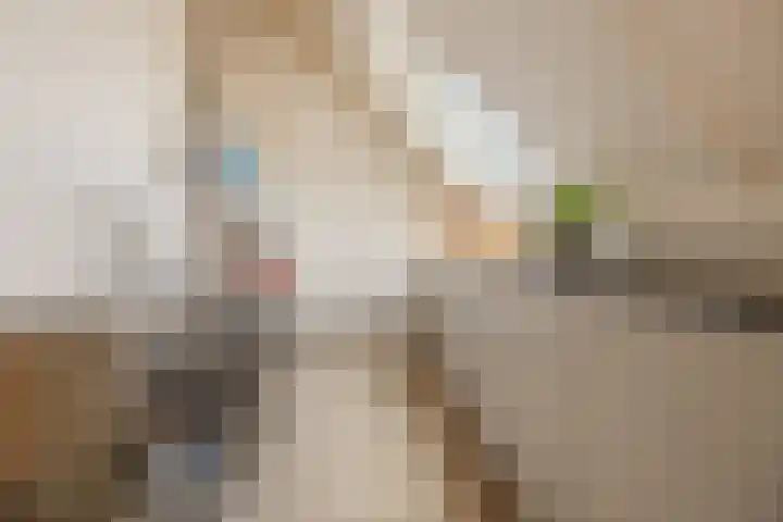 De Spindel 20 Steenbergen thumbnail 39