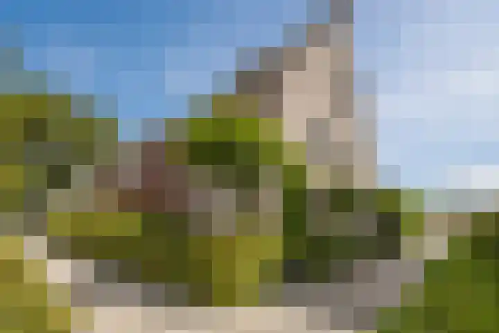 De Spindel 20 Steenbergen thumbnail 4