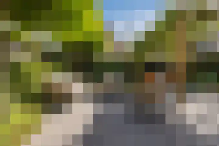 De Spindel 20 Steenbergen thumbnail 41