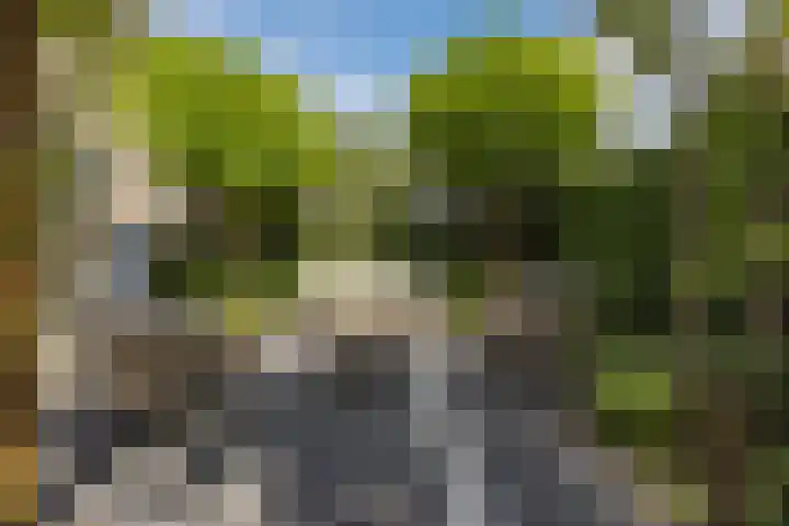 De Spindel 20 Steenbergen thumbnail 42