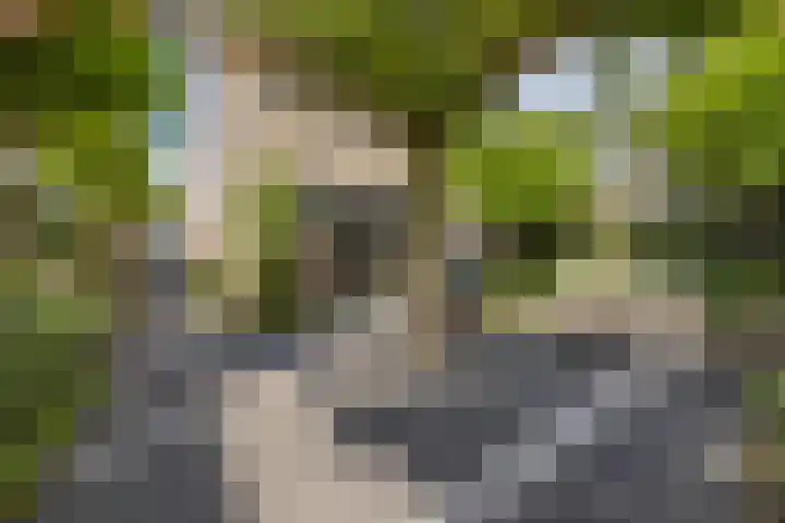 De Spindel 20 Steenbergen thumbnail 43
