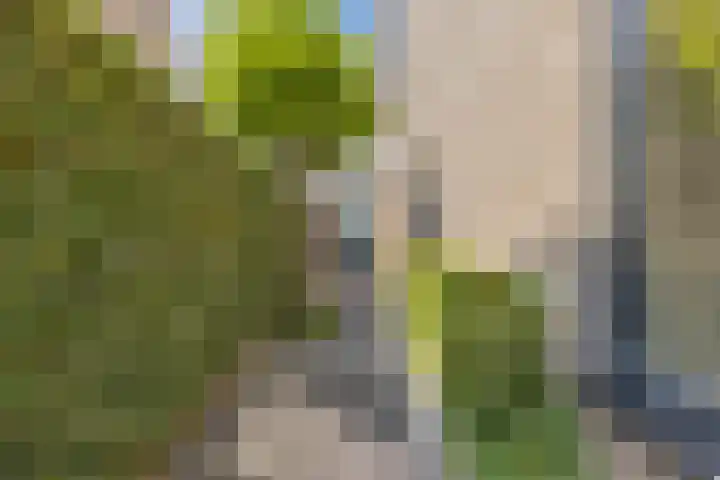 De Spindel 20 Steenbergen thumbnail 44