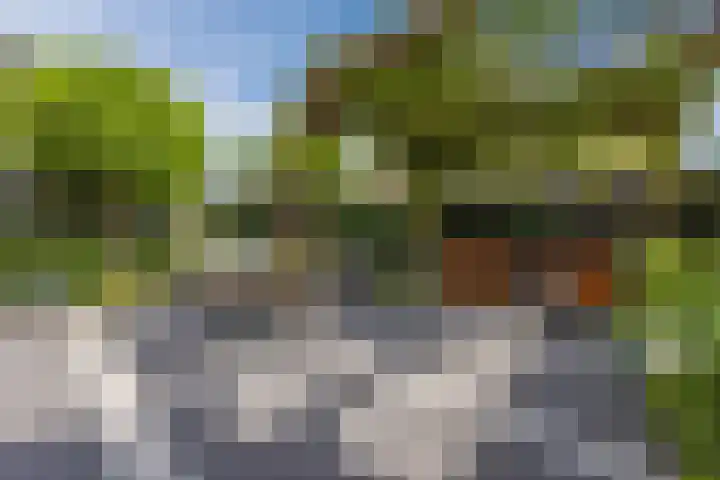 De Spindel 20 Steenbergen thumbnail 45