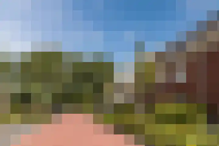 De Spindel 20 Steenbergen thumbnail 46